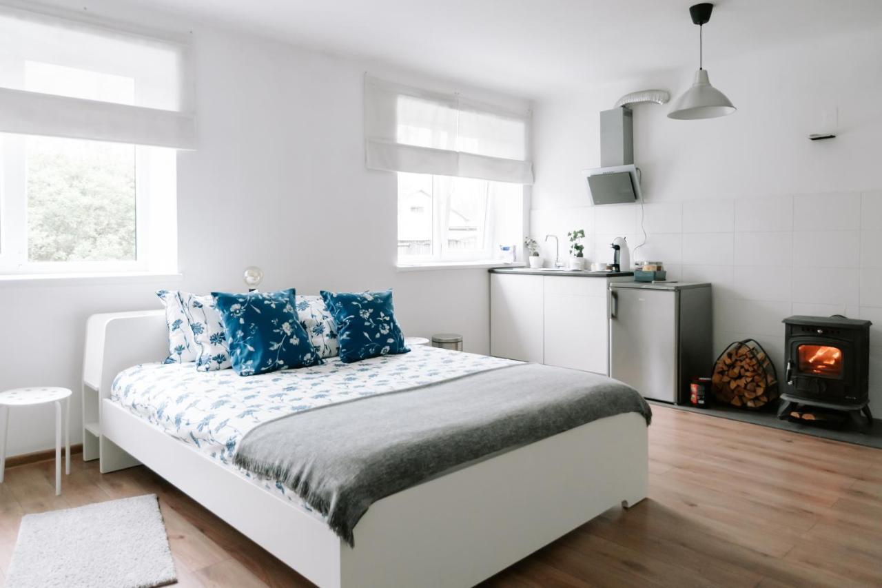 Lake Aluksne Studio Apartment ภายนอก รูปภาพ